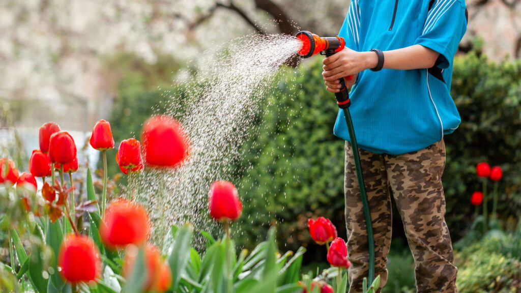 Kid watering plant in the garden